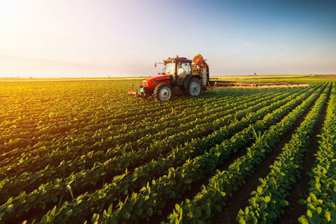 The Truth About GMO's: Genetic Engineering and Food
