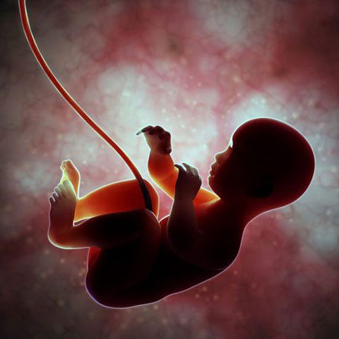 Is Your Diet KILLING Your Testosterone and Causing Infertility?