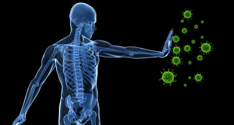 How to Boost Your Immunity Naturally