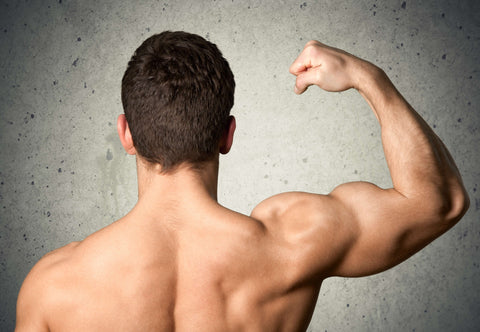 The Importance of Protein for Muscle Growth and Overall Health
