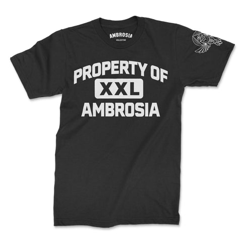 🎁 Ambrosia Property T-Shirt (100% off)