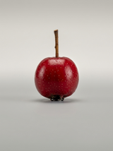 Hawthorn Berry