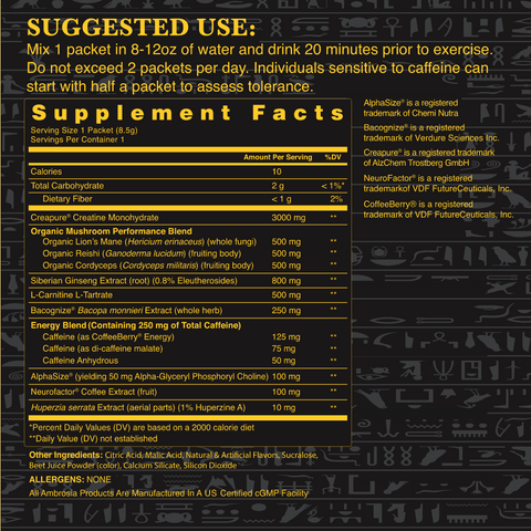 Kinetic Mushroom Enhanced Pre-Workout - Bundler