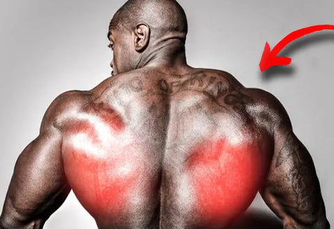 Wide Lat Back Workout