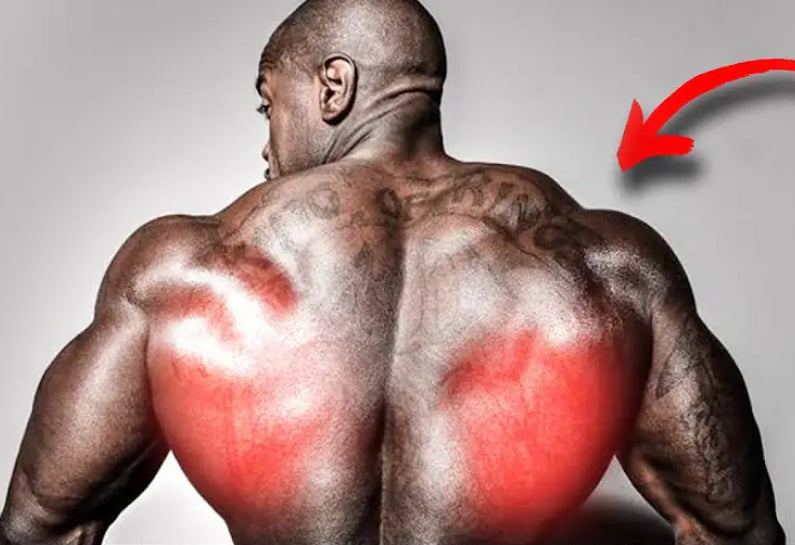 Wide Lat Back Workout – Ambrosia Collective