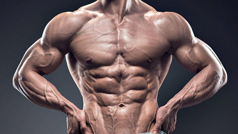 Muscle Building Techniques and Trends