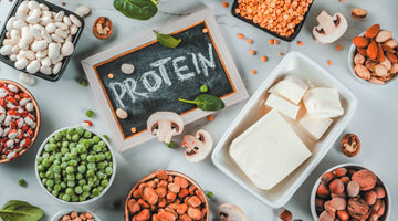 Why More People are Turning to Plant-Based Protein Sources