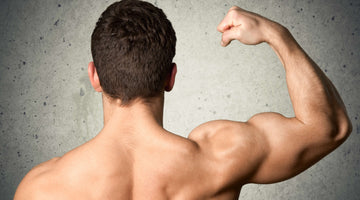 The Importance of Protein for Muscle Growth and Overall Health