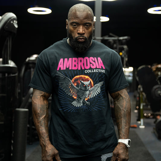 Ambrosia Metal Owl T-Shirt
