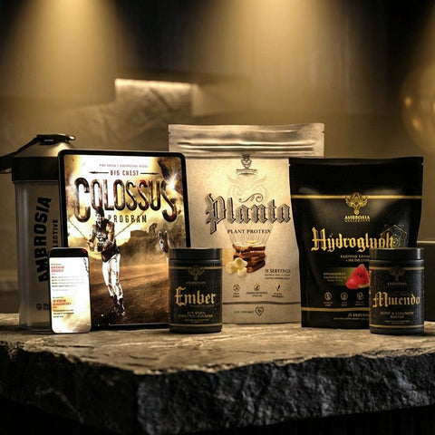 Mike Rashid Birthday Bundle 2026