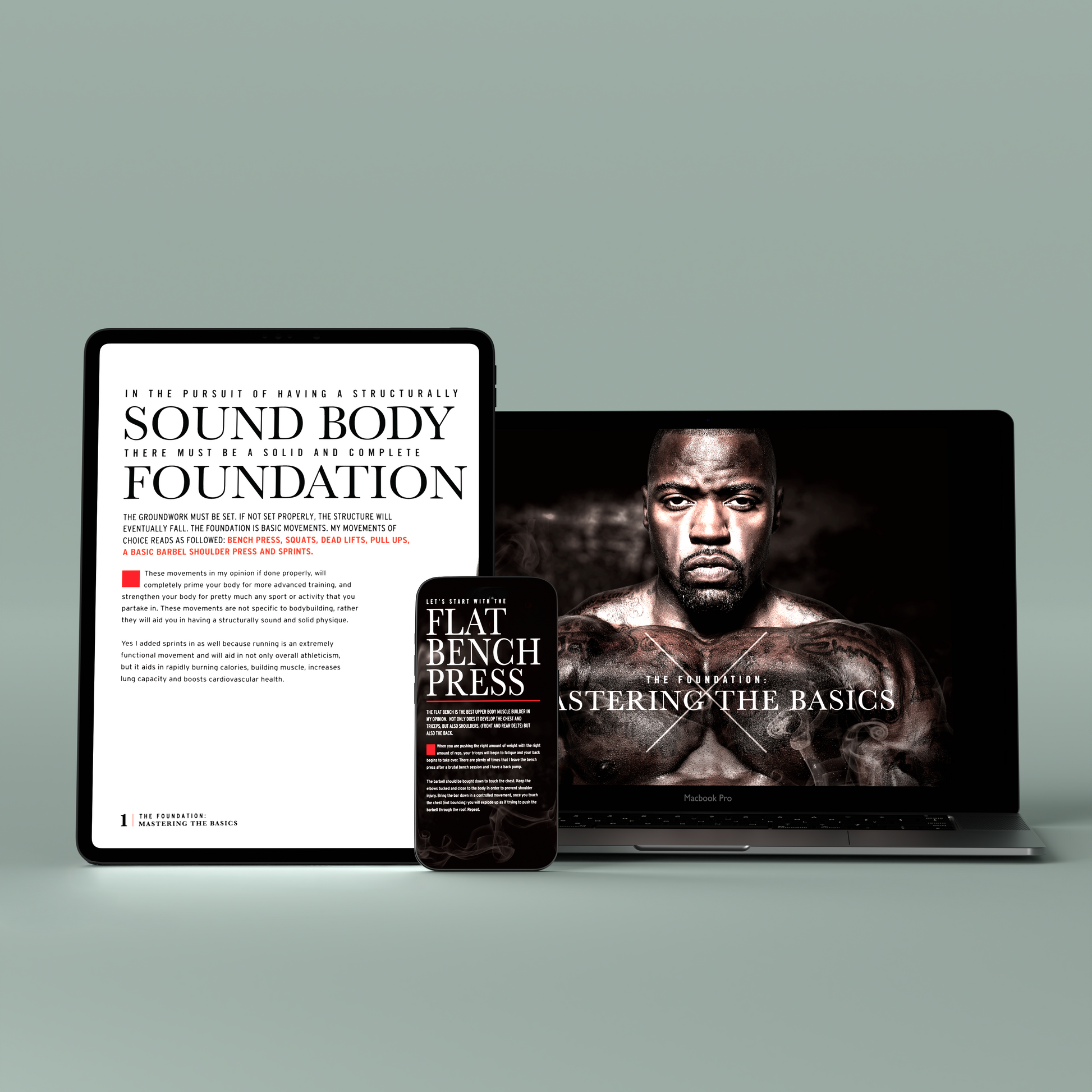 The Foundation: Mastering the Basics eBook