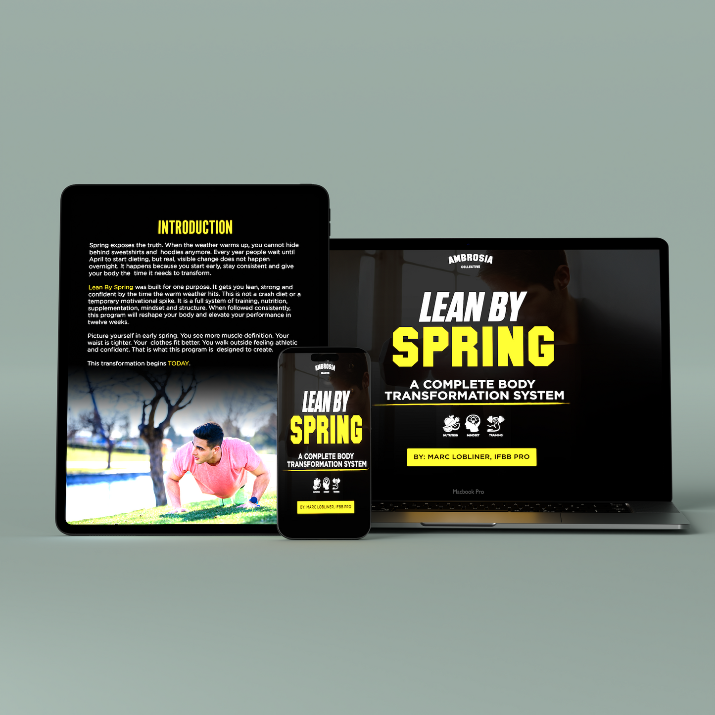 Lean by Spring eBook