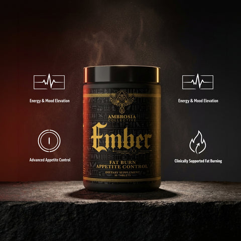 Mike Rashid Birthday Bundle 2026