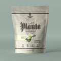 Madagascar Vanilla