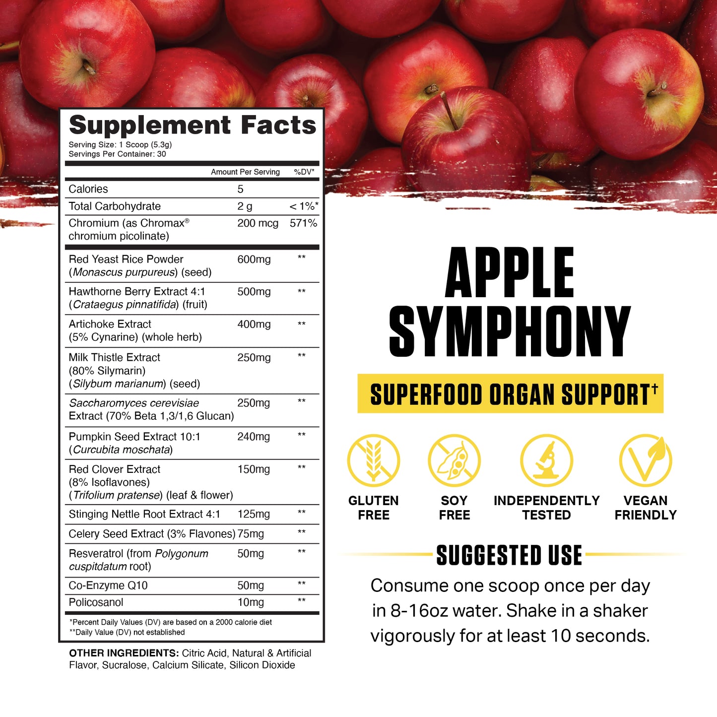 Apple Symphony Gallery