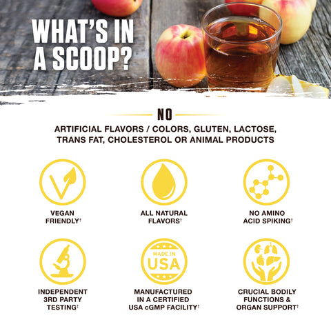 Apple Symphony Gallery