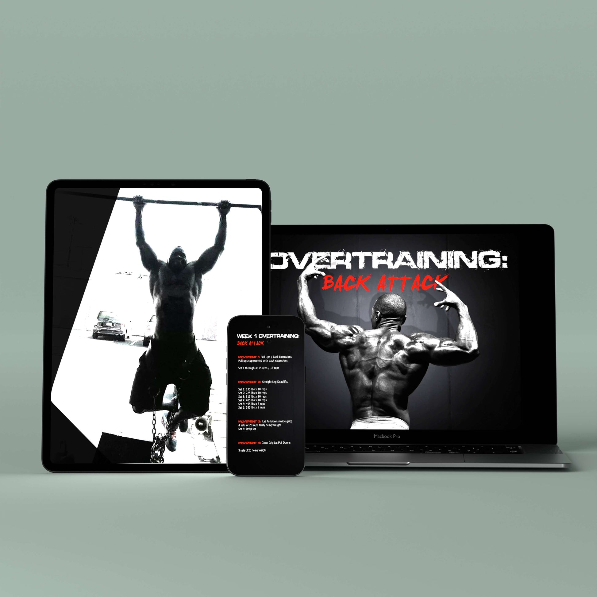 🎁 Overtraining: Back Attack eBook (100% off)