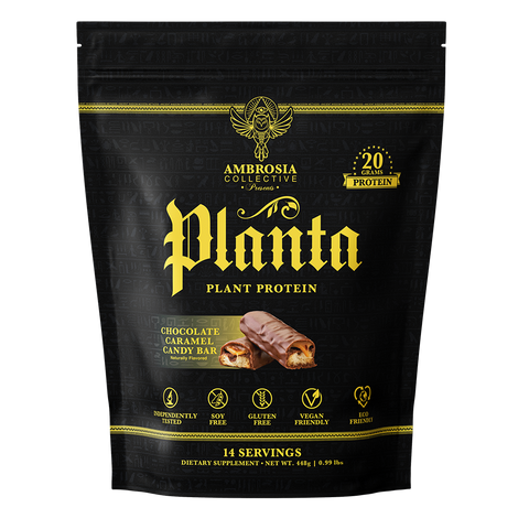 Planta® - Premium Plant Protein (14 Servings)