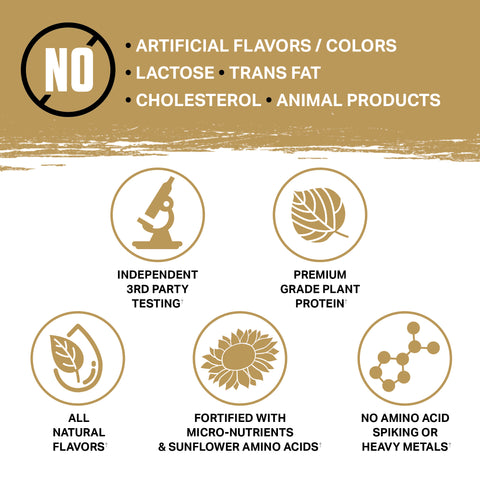 Sprinkle Cupcake Gallery