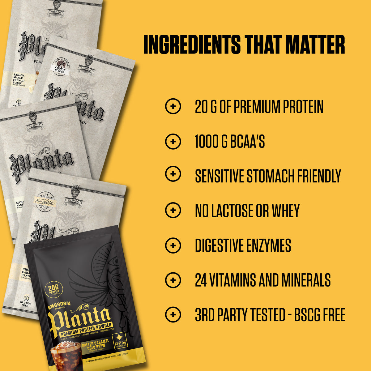 Planta Protein - 5 Flavor Variety Pack