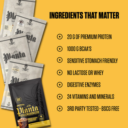 Planta Protein - 5 Flavor Variety Pack