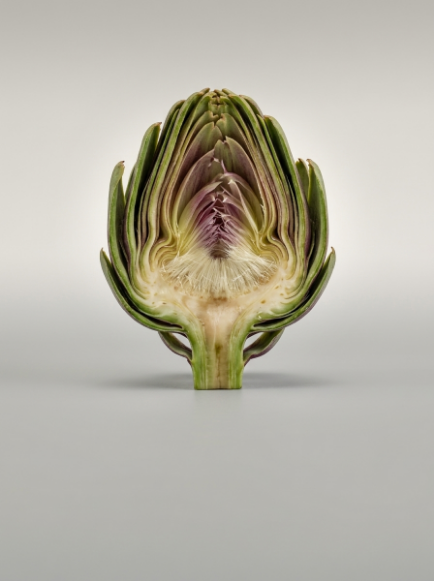 Artichoke Extract
