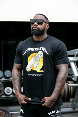 Ambrosia Stone Owl T-Shirt