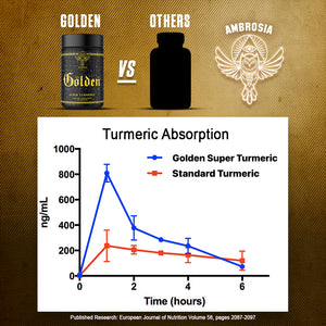 Graph. Golden vs Others. Ambrosia. Graph plots turmeric absorbtion vs time from 0-1000ng/mL and time 0-6 hours. Graph from published research: European Journal of Nutrition Volume 58, pages 2087-2097.